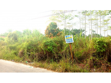 Dijual Tanah murah di Jl. Pembina (Dekat SMP Islam Plus) Rumbai Pekanbaru 30 m x 50 m